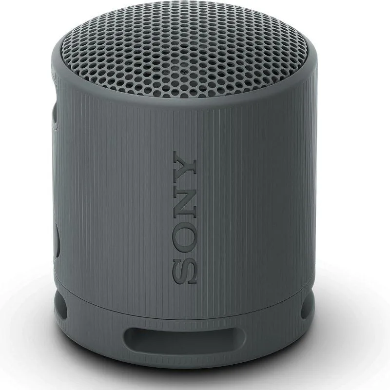 Altavoz Portable con Bluetooth Sony XB100
