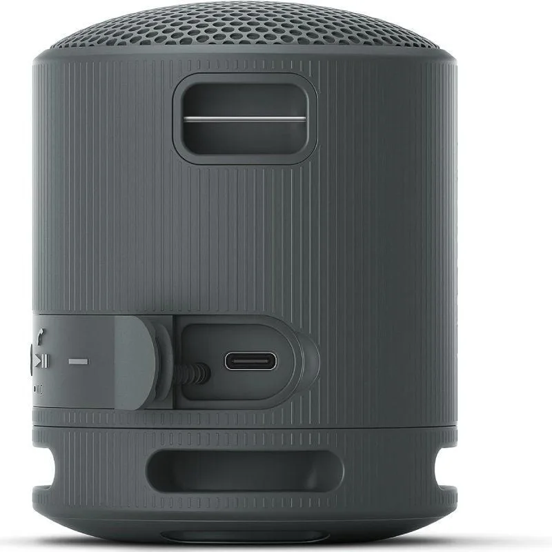 Altavoz Portable con Bluetooth Sony XB100, foto 4