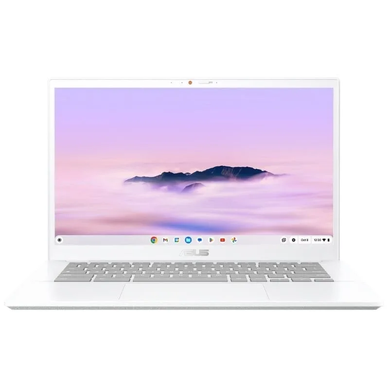 ChromeBook Asus Plus CX34 CX3402CVA-PQ1339 Intel Core 3-100U