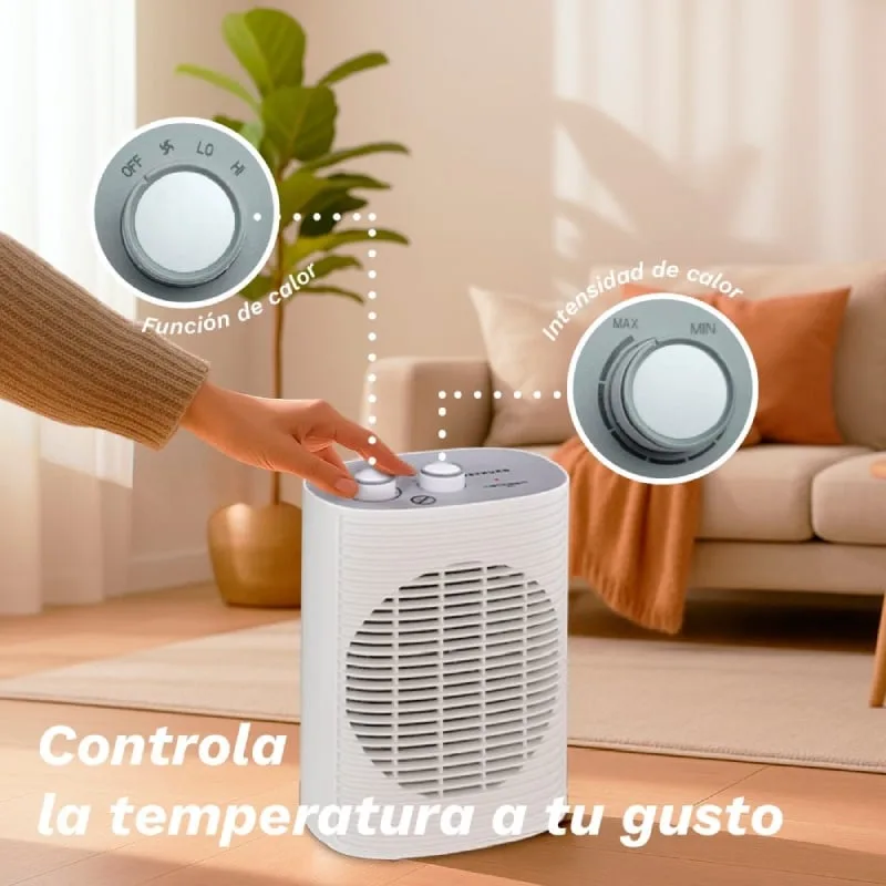 Calefactor, foto 2