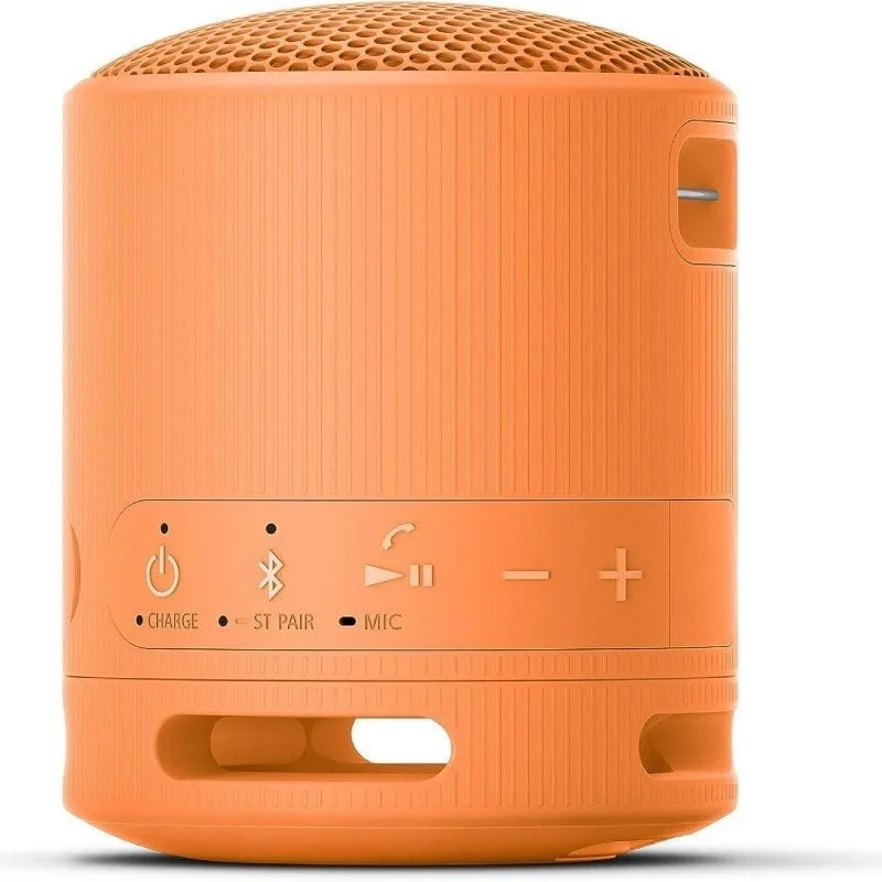 Altavoz Portable con Bluetooth Sony XB100, foto 3