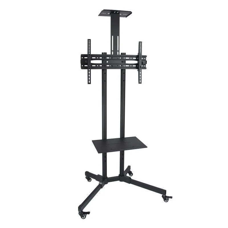 Soporte de Suelo Inclinable
